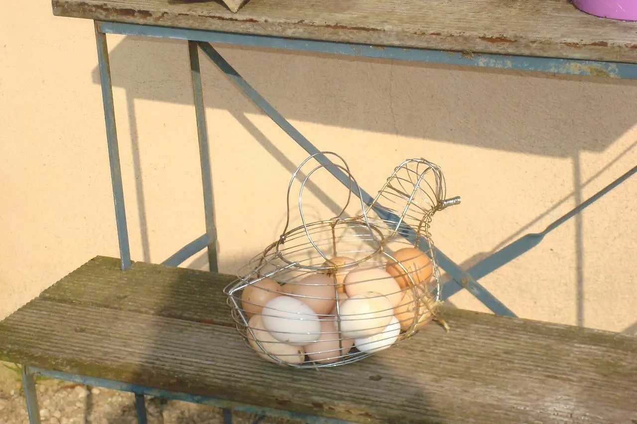 Gîte au Martin Pêcheur Laiz
